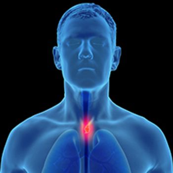 Lenvatinib/Pembrolizumab/Chemo in mESCC | Image Credit: © Lars Neumann - stock.adobe.com