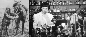 Photos depicting beginnings of Mustard Derivatives