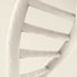 Genetic Testing Delivers Personalized Lung Cancer Therapy
