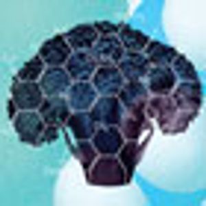 Beyond Broccoli: Cancer Focus Is on Food at Molecular Levels