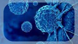MD Anderson and TOPPAN Holdings Announce Strategic Alliance to Co-Develop Organoid Technology for Evaluating Cancer Treatments
