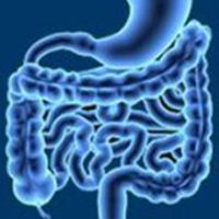 Tislelizumab monotherapy provided a clinically meaningful overall survival benefit that was noninferior to sorafenib and showcased a favorable toxicity profile when used as a frontline treatment for patients with unresectable hepatocellular carcinoma.