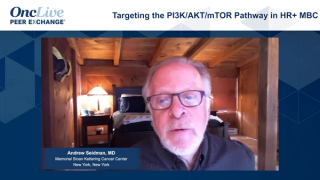 Targeting the PI3K/AKT/mTOR Pathway in HR+ MBC