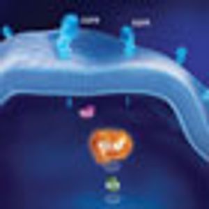 Novel Agents Revolutionize Melanoma Treatment