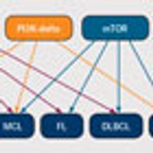 On the Horizon: Novel Inhibitors for Hematologic Malignancies