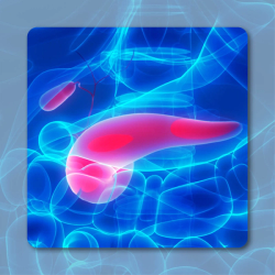 CM24 Plus Nivolumab and Chemo Displays Efficacy vs Chemo Alone in Metastatic PDAC