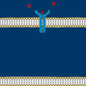 Triplet Targeted Therapy May Signal a New Standard in Metastatic CRC