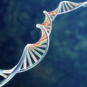 Tumor Profiling Identifies Potential Biomarkers for Vandetanib in MTC