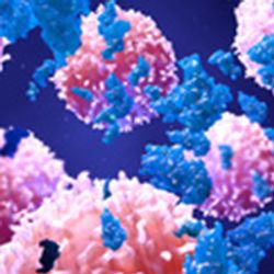 Camrelizumab Plus Nab-Paclitaxel Showcases Antitumor Activity in Platinum-Resistant Urothelial Carcinoma