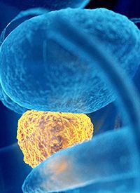 Darolutamide in nmCRPC | Image Credit: © Sebastian Kaulitzki – stock.adobe.com Image