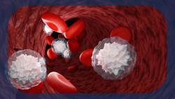 FDA Grants Orphan Drug Designation to SENTI-202 for R/R AML and Hematologic Malignancies