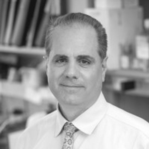 Michael Girardi, MD