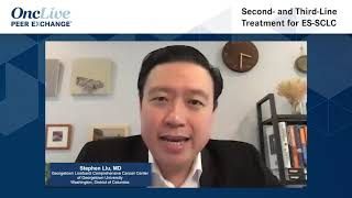 Second- and Third-Line Treatment for ES-SCLC