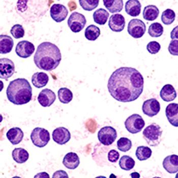 David A Litman – stock.adobe.com