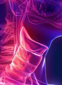 Pre-Surgical Combination in Rare Thyroid Cancer | Image Credit: © G.Go - stock.adobe.com