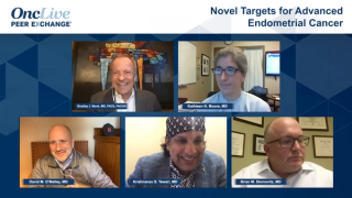 Novel Targets for Advanced Endometrial Cancer