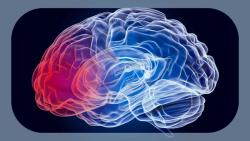 Could Electric Fields Supercharge Immune Attack on the Deadliest Form of Brain Cancer?
