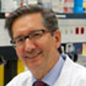 Multiple Myeloma Advances: Noted Hematologist Envisions Big Changes in Treatment Paradigms