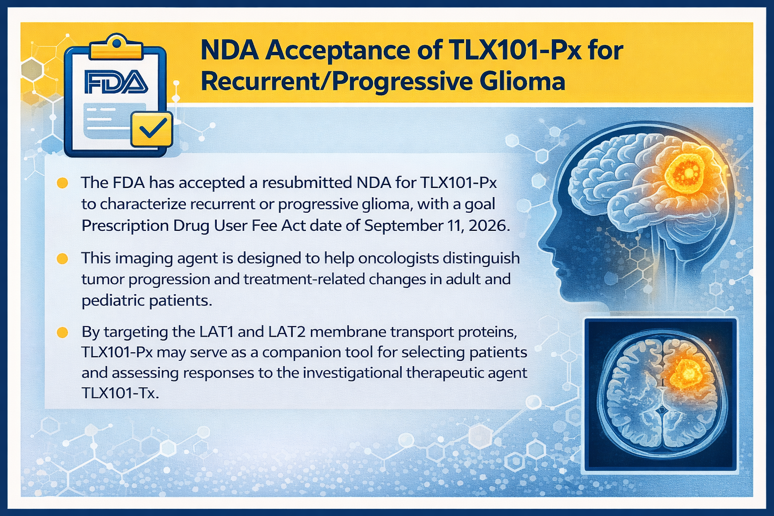 FDA Accepts NDA for TLX101-Px Imaging Agent in Recurrent/Progressive Glioma 