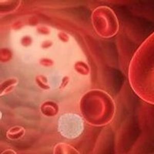 Iberdomide Alone or in Combination With Anti-CD20 Monoclonal Antibodies Shows Early Efficacy in R/R Lymphoma