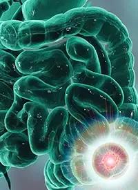 ColoAlert in CRC | Image Credit:   © Dr_Microbe - stock.adobe.com