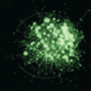 The Great Biomarker Chase: Promise & Pitfalls Along the Path to Personalized Care