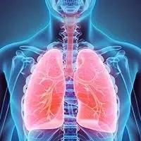 Frontline Aumolertinib Plus Anlotinib Elicits Responses in EGFR-Mutant NSCLC With Brain Metastases