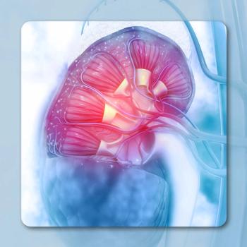 RCC Sebastian Kaulitzki – stock.adobe.com