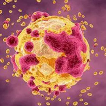 The combination of the galactin-3 inhibitor belapectin plus pembrolizumab has demonstrated early potential for disease control with acceptable tolerability in patients with metastatic melanoma and head and neck cancer.