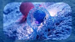 VAX014 Demonstrates Safety, Early Signs of Immune-Mediated Activity in Advanced Solid Tumors