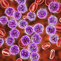 COVID-19 Continues to Result in High Admission, Fatality Rates Among Patients With CLL