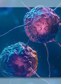 Cancer | Image Credit: © Katsyarina – stock.adobe.com