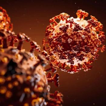 Mortality rates in patients with acute myeloid leukemia, acute lymphoblastic leukemia, and myelodysplastic syndrome who were diagnosed with COVID-19 were higher compared with non-cancer populations who were infected with the virus.