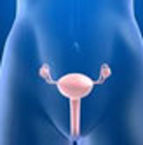 Folate Receptor Alpha As A Therapeutic Target For Ovarian Cancer