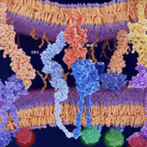 A New Generation of Drugs Targeting PD-1/PD-L1 Takes Shape in Oncology