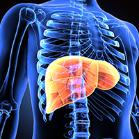 Real-World Benefit With IO Therapy in HCC