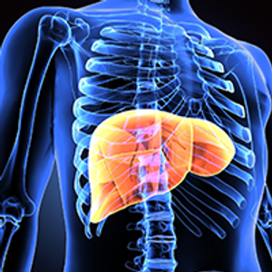 HCC | Image Credit: © Pic4U - stock.adobe.com