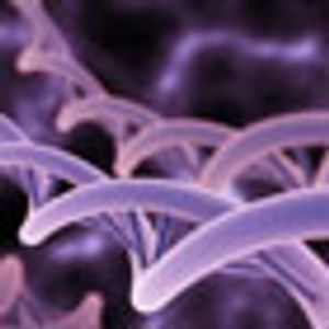 Integrating Genetics and Genomics in GYN Patient Navigation