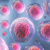 Perioperative Nivolumab Plus Chemotherapy in NSCLC | Image Credit: © anusorn - stock.adobe.com