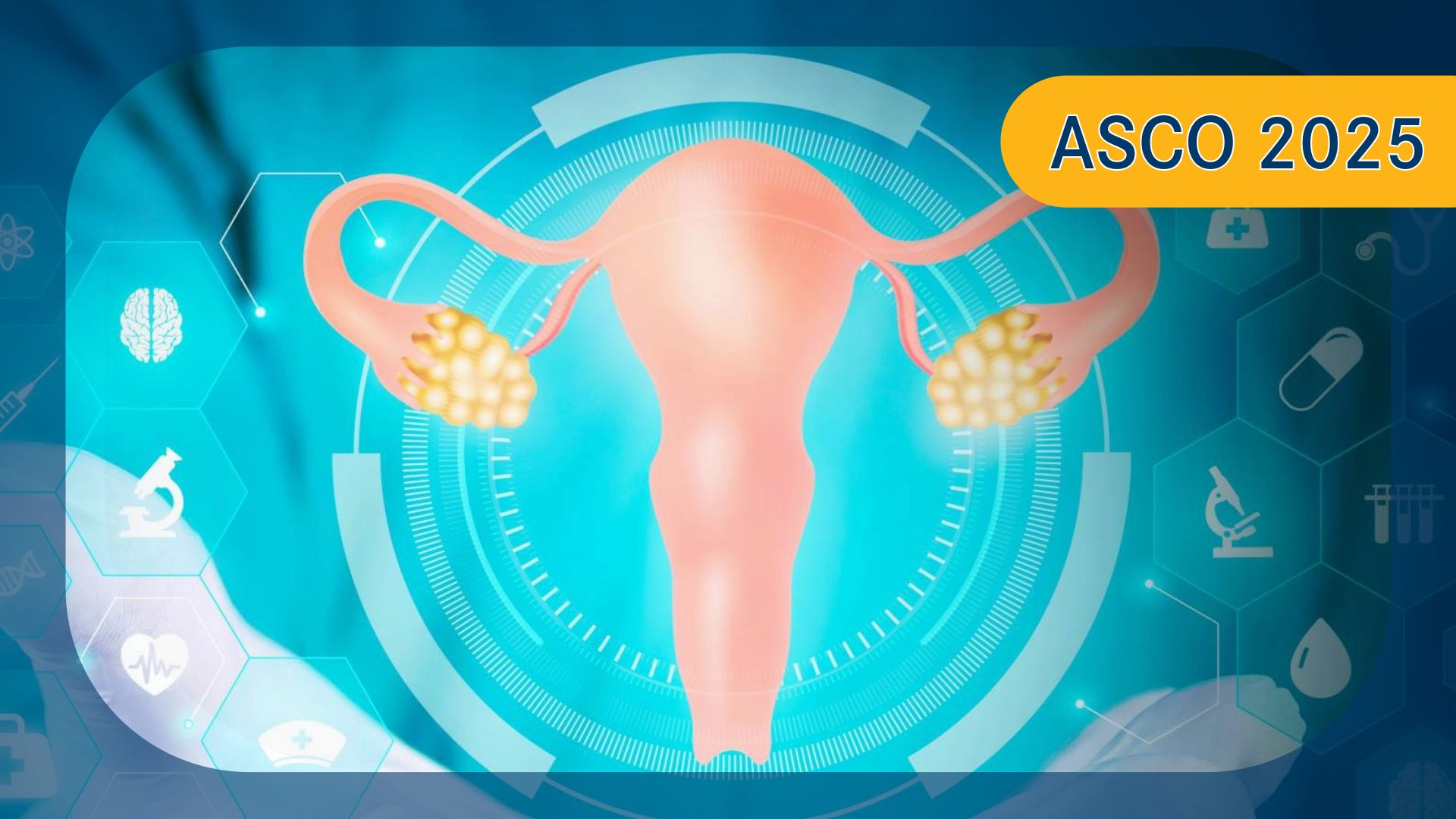 Cervical Cancer | Image credit: © Tom - stock.adobe.com