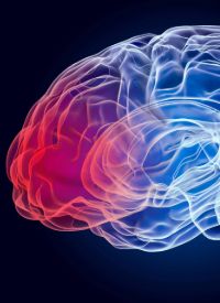 High-Grade Glioma | Image Credit: © alexlmx - stock.adobe.com