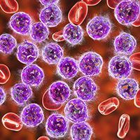 Mantle Cell Lymphoma
