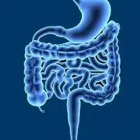 Adavosertib Improves PFS in RAS-/TP53-Mutant Metastatic Colorectal Cancer