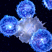 Zanubrutinib Demonstrates Efficacy and Safety in Acalabrutinib ...