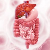 The frontline combination of toripalimab and cisplatin/paclitaxel reached its prespecified primary end points of progression-free and overall survival in patients with advanced esophageal squamous cell carcinoma in the phase 3 JUPITER-06 trial.