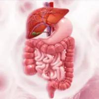 CMG901 induced responses with a manageable toxicity profile in patients with CLDN18.2-positive gastric or gastroesophageal junction cancer, according to updated data from the dose-expansion phase of the phase 1 KYM901 study.
