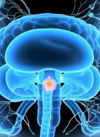 Urothelial Cancer | Image credit:  © Adin - stock.adobe.com