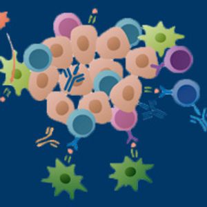 NY-ESO-1 Gains Momentum as a Therapeutic Target