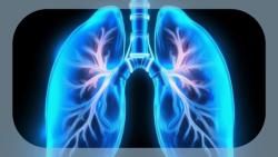Frontline Firmonertinib Generates Durable Efficacy in EGFR PACC–Mutant NSCLC