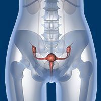 Latest Developments in Higher-Risk MDS as of 2023 Latest Developments in Higher-Risk MDS as of 2023